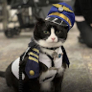 Meet your Posher, Jeremy